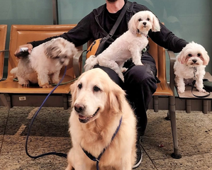 Sunil Grover and his dogs